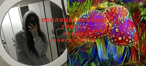 марки lsd Горнозаводск